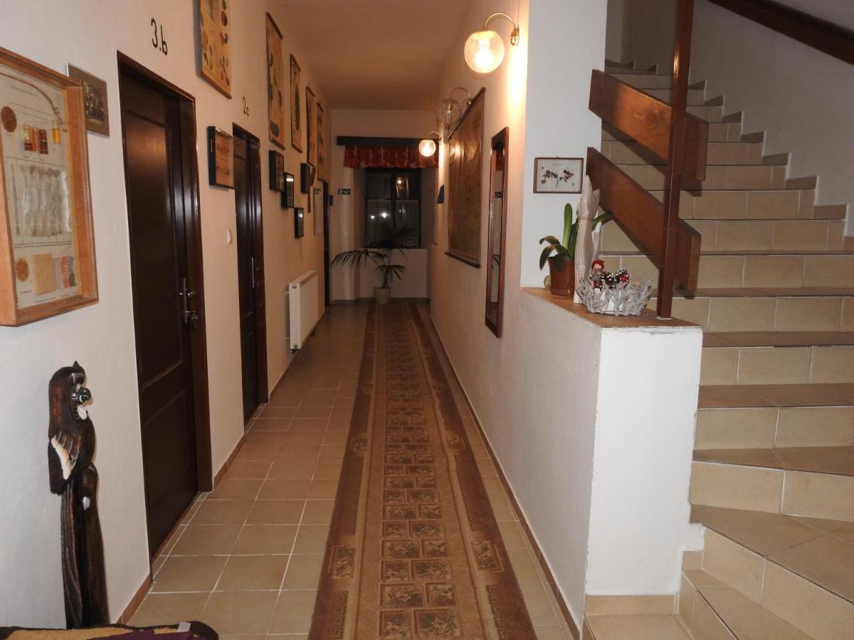 Hotel Stara Skola Na Sumave Hořice na Šumavě Exteriör bild